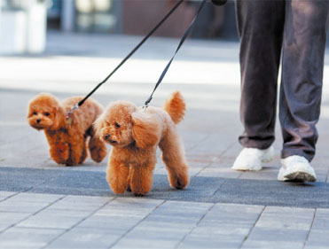 マルチ水栓スペース